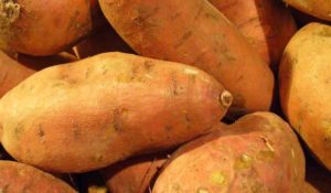 sweet-potato